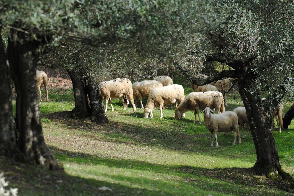 Country House Villa Poggiolo Perugia Exterior foto